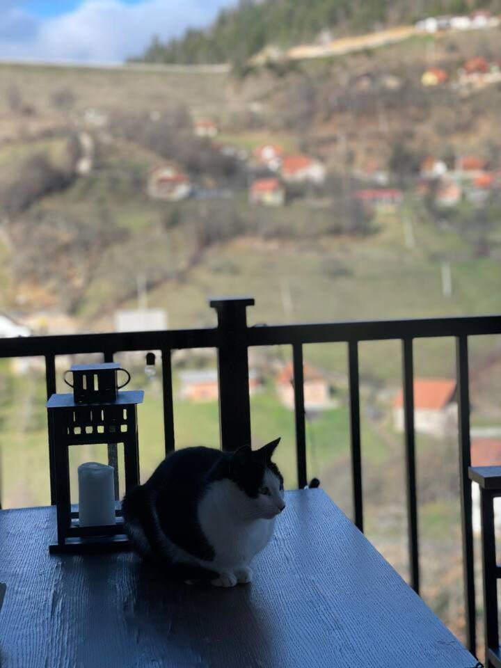 Vila Maslacak Popovici Luaran gambar